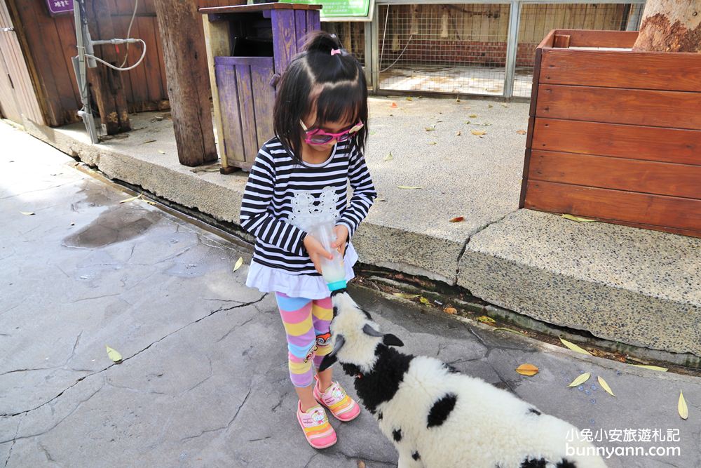 高雄景點》旅人野餐秘密基地！全新長頸鹿沙坑溜滑梯與動物親子園，隱藏在城市裡的後花園～