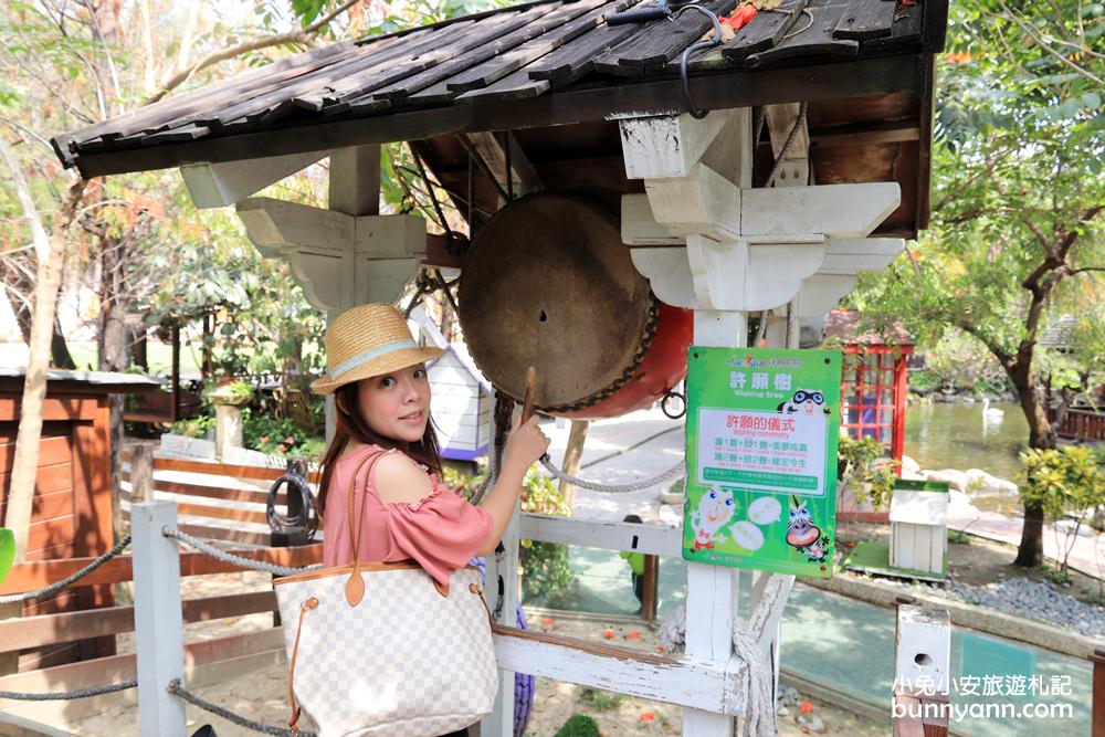 高雄【淨園農場】暢遊可愛動物園和觀賞飛機起降超級有趣