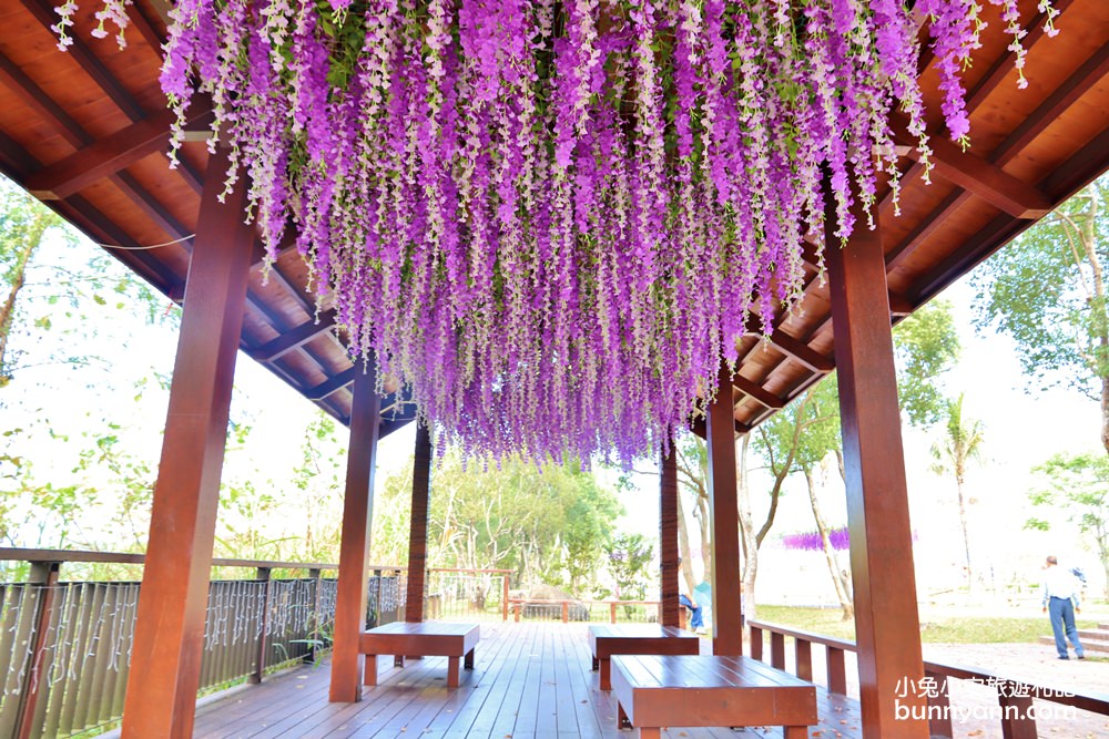 嘉義【旺萊山愛情大草原】阿里山腳下的免門票參觀平地森林園區