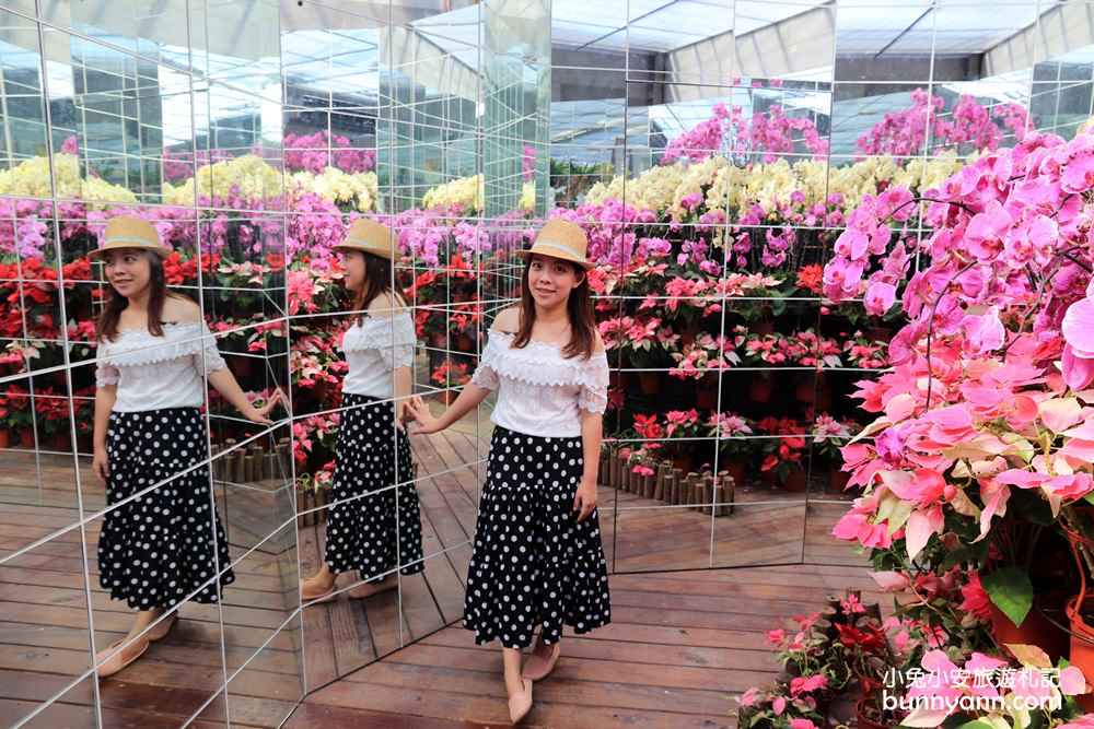 苗栗花露農場一日遊，城堡住宿、繡球花海、親子小火車，四季美景一次玩透透！