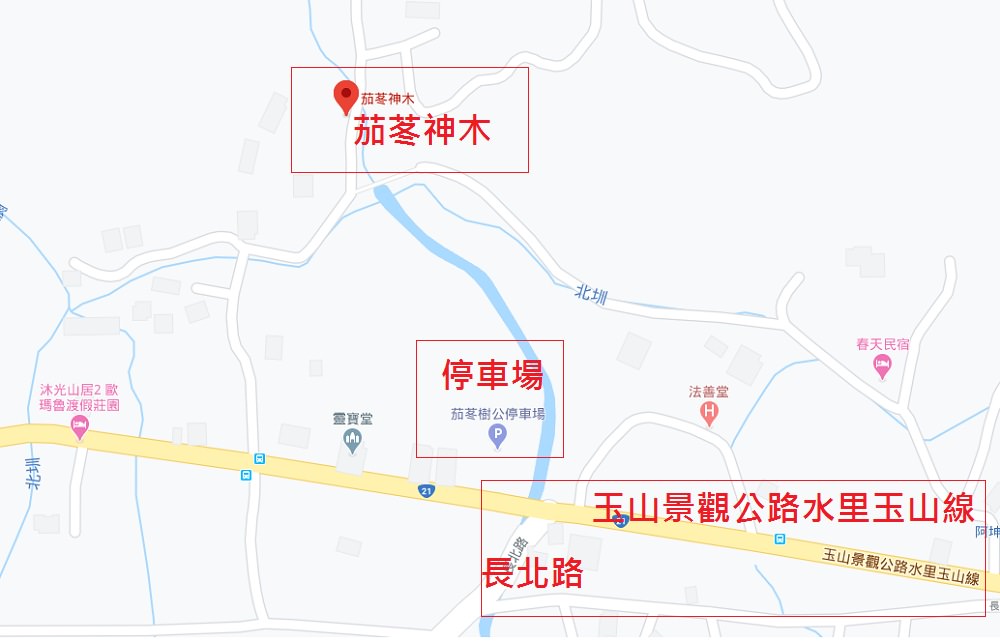 南投新景點》看見台灣！南投國姓茄苳神木，大自然禮物，樹洞台灣超美！