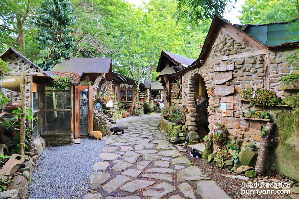 阿將的家23咖啡館｜阿里山宮崎駿石頭屋，茶園風光真美