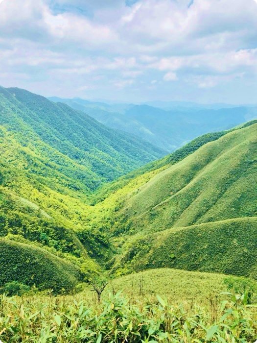 宜蘭礁溪抹茶山飄著雲霧的草原，適合季節、要爬多久一次打包。
