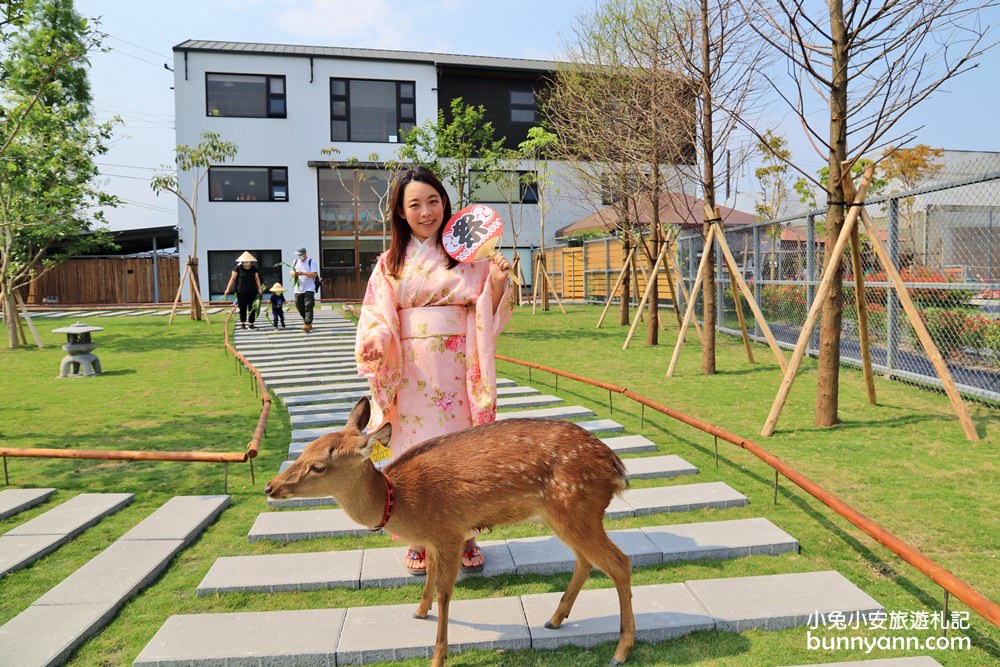 宜蘭新景點》跟可愛小鹿互動！張美阿嬤農場，餵梅花鹿、拔紅蘿蔔超有趣～