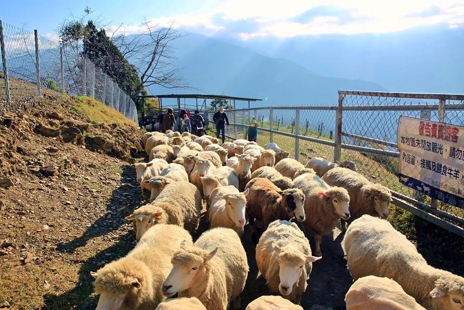 清境農場