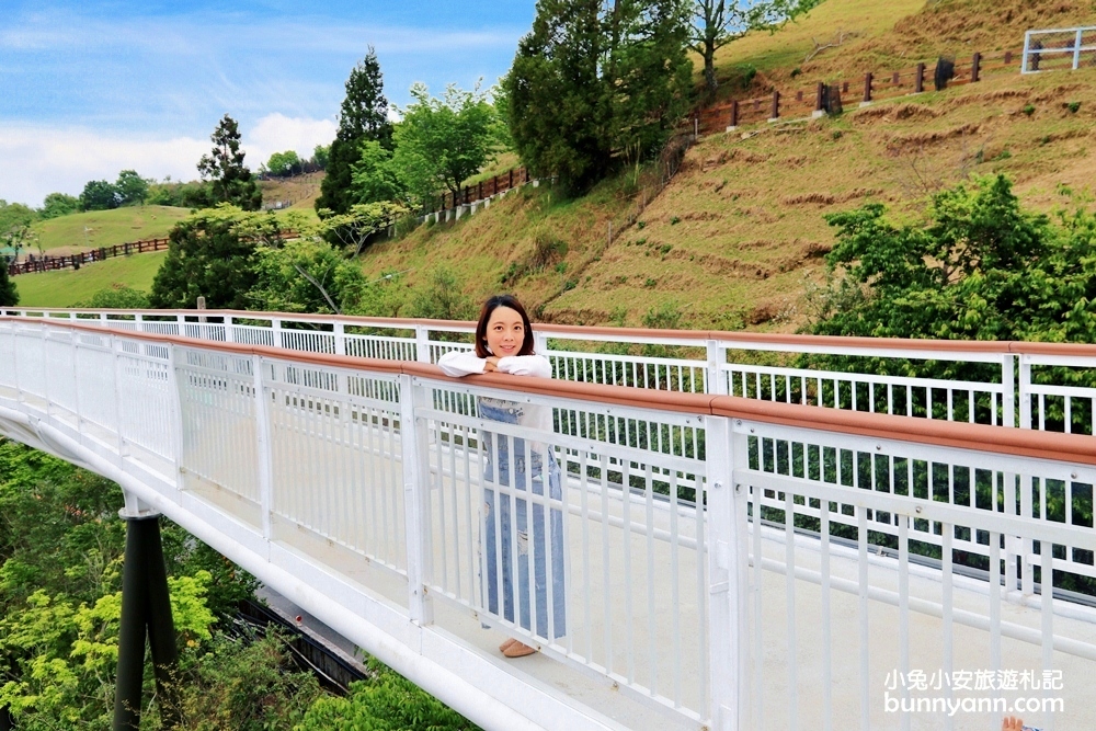 南投【清境天空步道】最美高空景觀步道伸手就能摸到雲朵