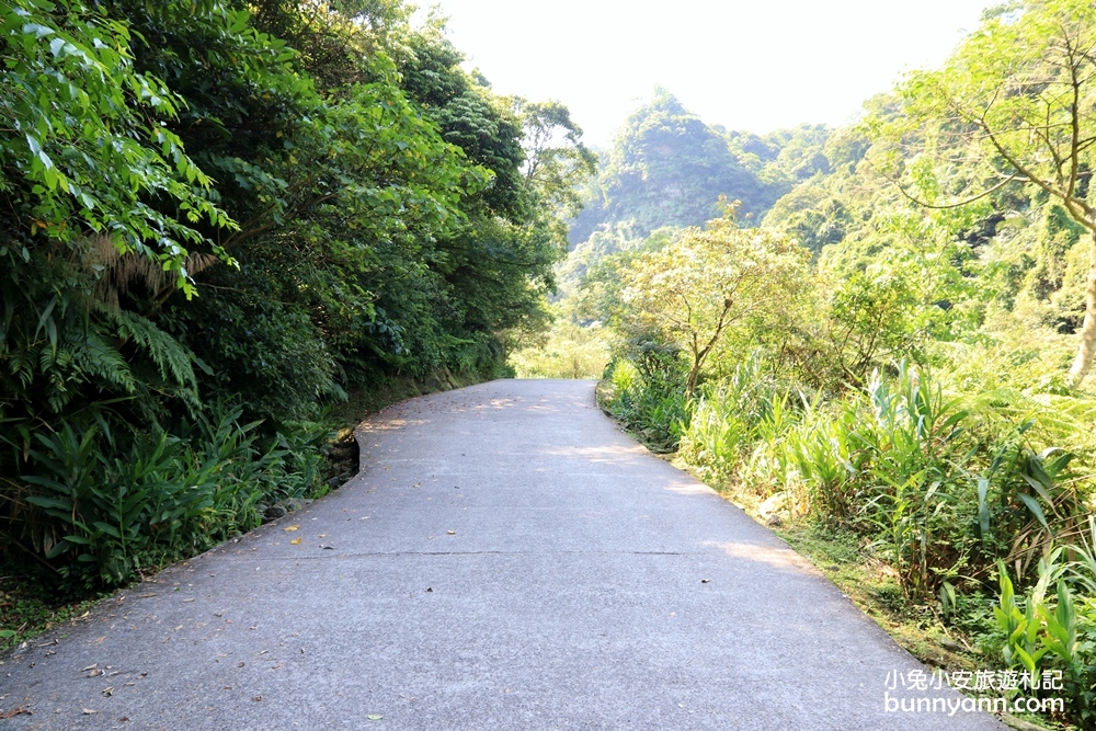 汐止【姜子寮絕壁步道】步行30分鐘就能攻上終點欣賞姜子寮瀑布