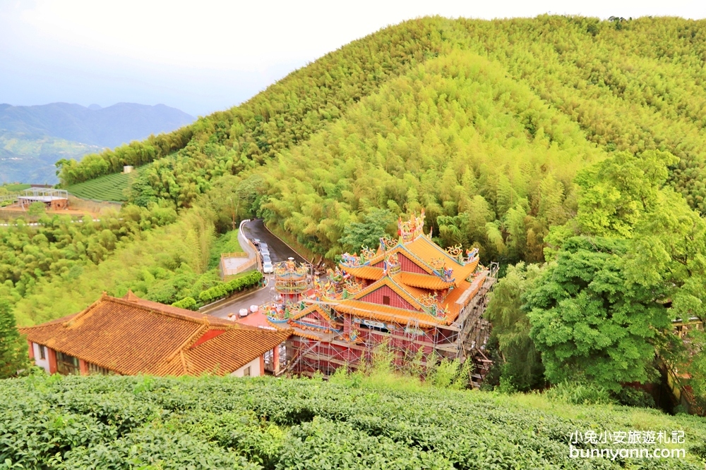 嘉義親民版抹茶山「二尖山步道」十分鐘輕鬆賞山嵐美景，茶園風光好美麗