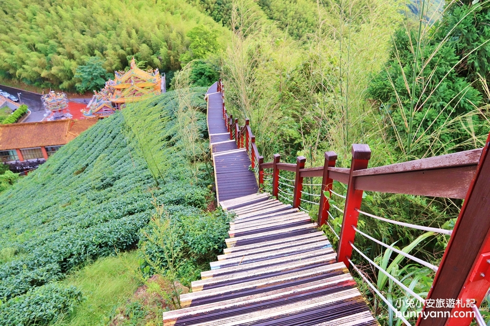 嘉義親民版抹茶山「二尖山步道」十分鐘輕鬆賞山嵐美景，茶園風光好美麗
