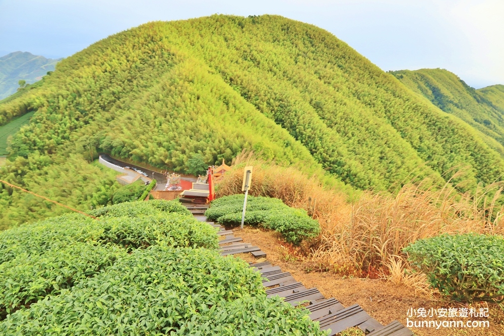 嘉義親民版抹茶山「二尖山步道」十分鐘輕鬆賞山嵐美景，茶園風光好美麗