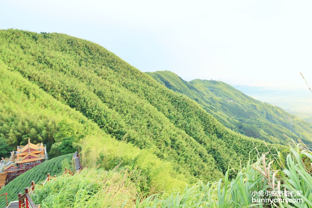 嘉義親民版抹茶山「二尖山步道」十分鐘輕鬆賞山嵐美景，茶園風光好美麗