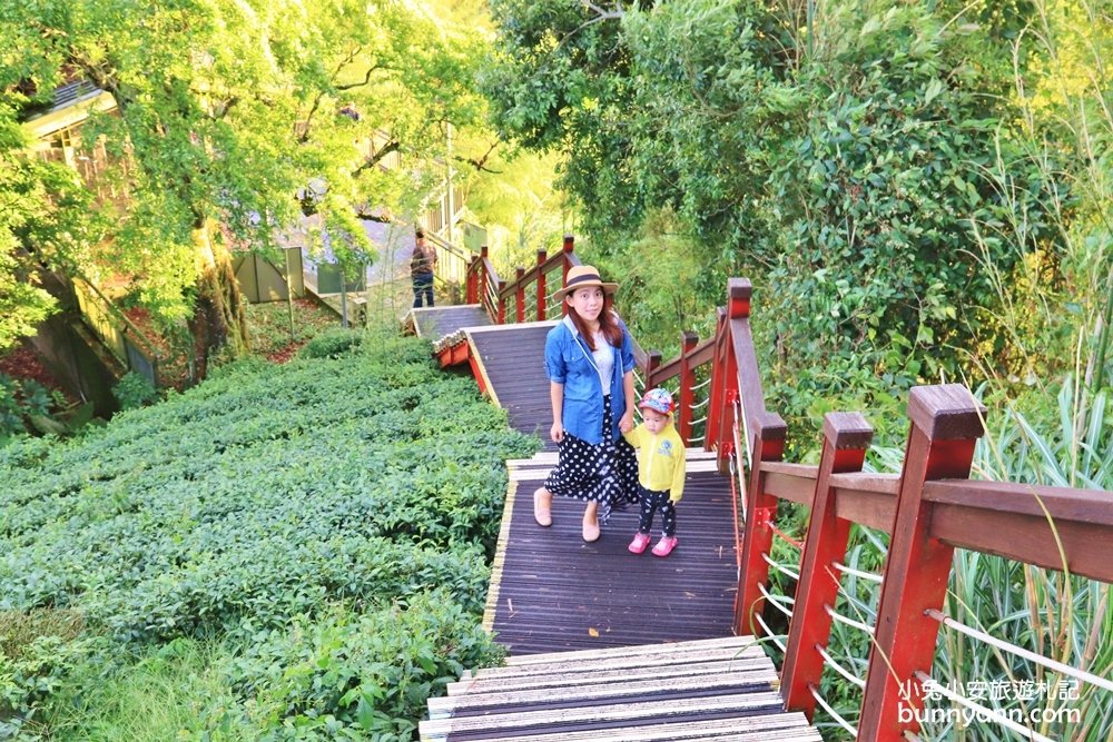 嘉義親民版抹茶山「二尖山步道」十分鐘輕鬆賞山嵐美景，茶園風光好美麗