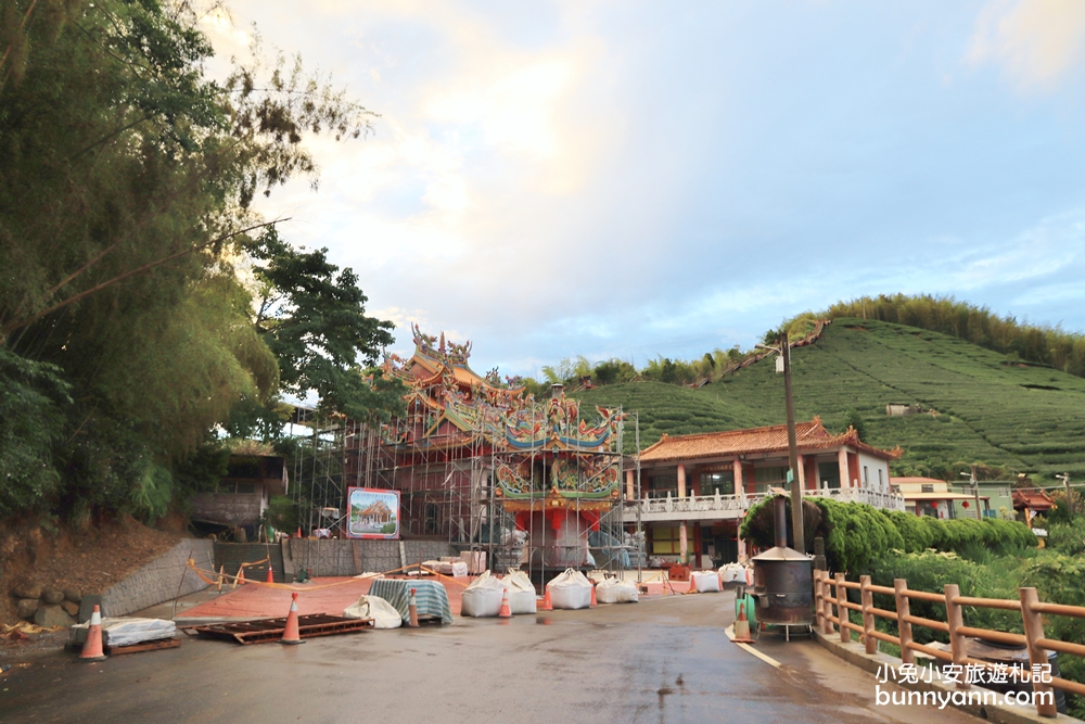 嘉義親民版抹茶山「二尖山步道」十分鐘輕鬆賞山嵐美景，茶園風光好美麗
