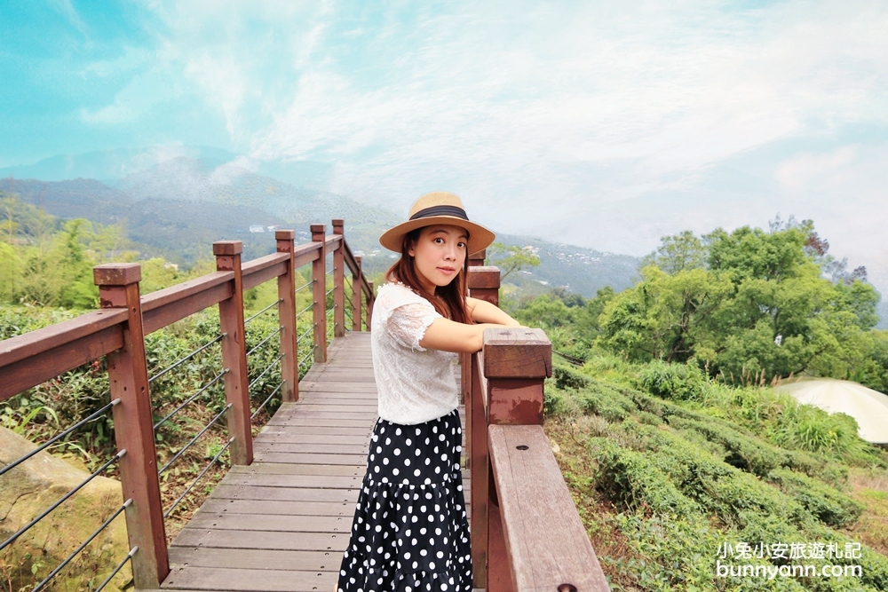 嘉義「太興岩步道」小萬里長城，五分鐘輕鬆漫步茶葉田