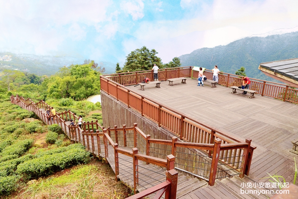 嘉義「太興岩步道」小萬里長城，五分鐘輕鬆漫步茶葉田
