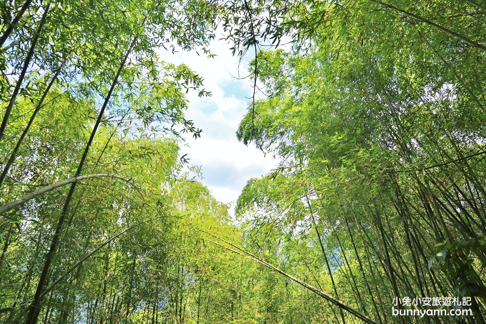 嘉義【雲潭瀑布】小京都竹林仙境，20分鐘抵達終點賞瀑平台