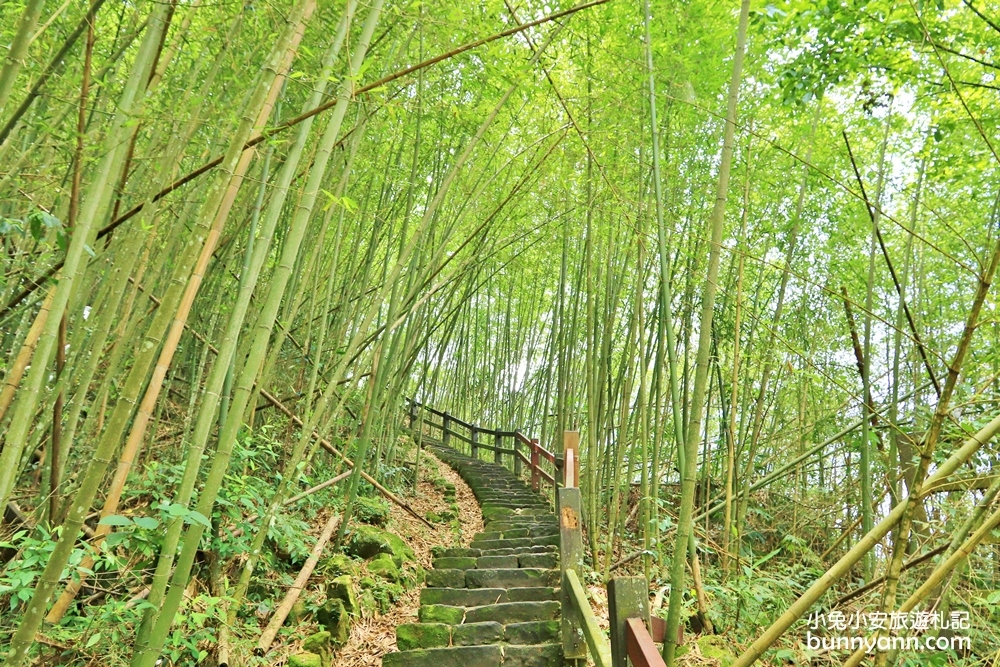 嘉義【雲潭瀑布】小京都竹林仙境，20分鐘抵達終點賞瀑平台