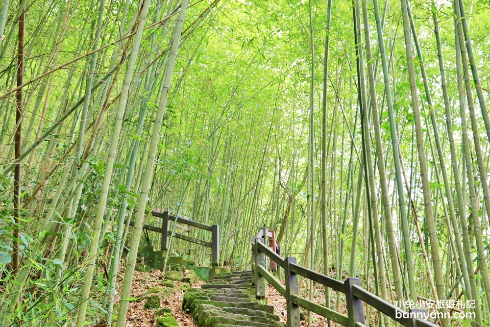 嘉義【雲潭瀑布】小京都竹林仙境，20分鐘抵達終點賞瀑平台