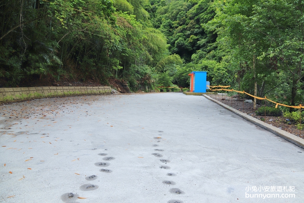 新竹【老鷹溪步道】高山森林秘境，20分鐘輕鬆追瀑布！