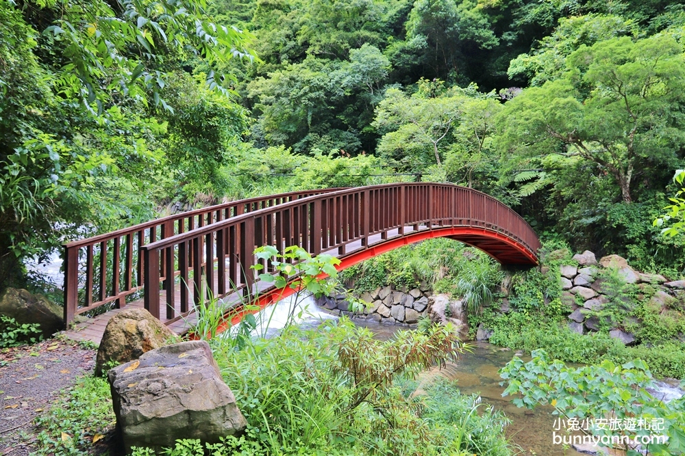 新竹【老鷹溪步道】高山森林秘境，20分鐘輕鬆追瀑布！