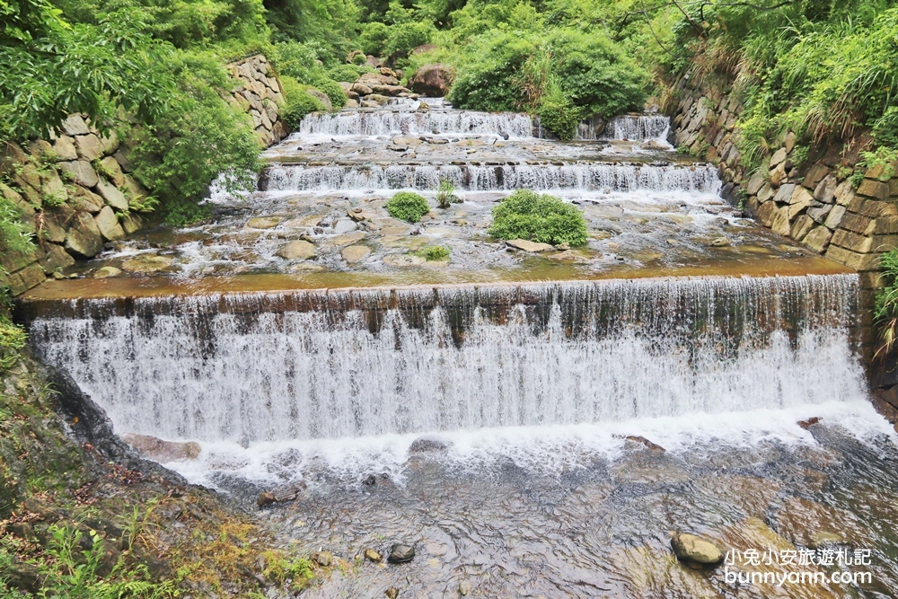 新竹【老鷹溪步道】高山森林秘境，20分鐘輕鬆追瀑布！