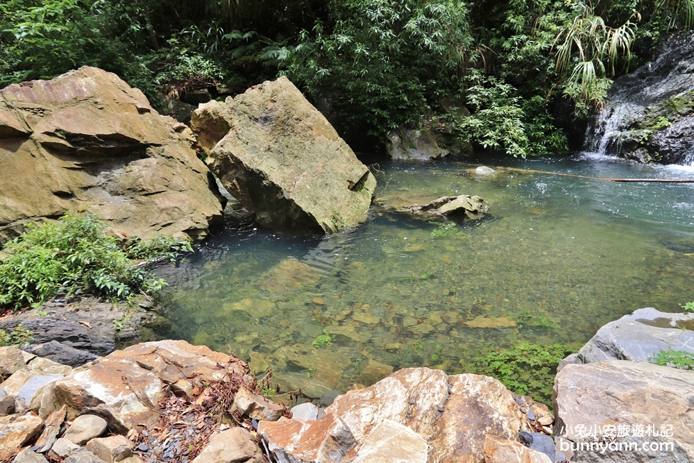 新竹【老鷹溪步道】高山森林秘境，20分鐘輕鬆追瀑布！