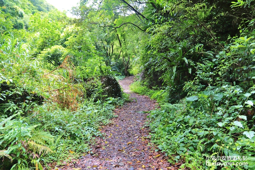 新竹【老鷹溪步道】高山森林秘境，20分鐘輕鬆追瀑布！