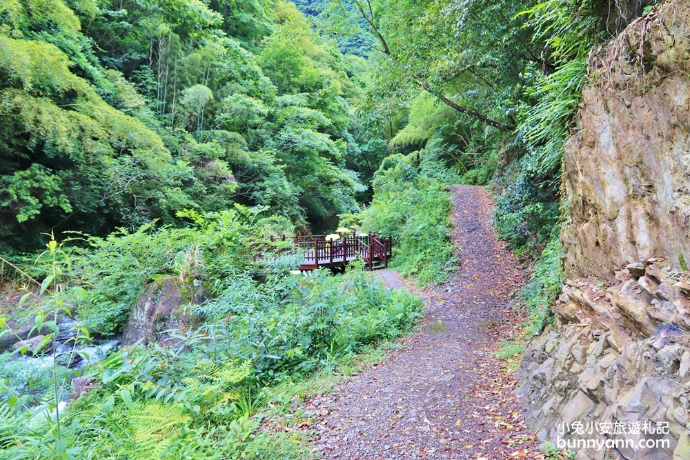 新竹【老鷹溪步道】高山森林秘境，20分鐘輕鬆追瀑布！