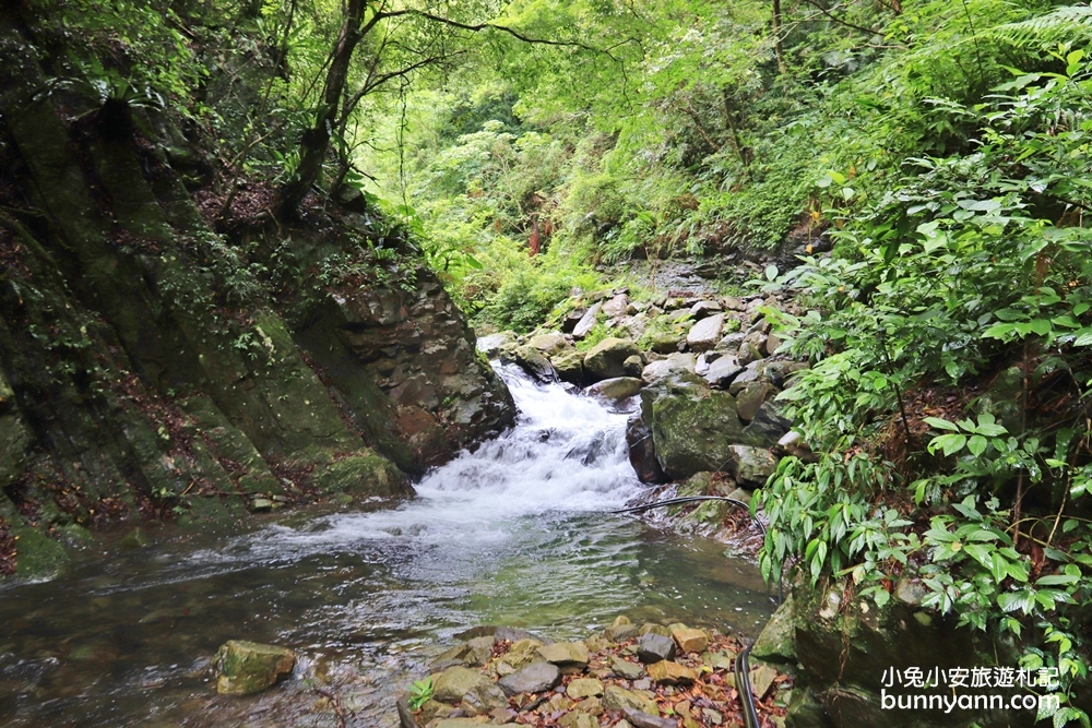 新竹【老鷹溪步道】高山森林秘境，20分鐘輕鬆追瀑布！