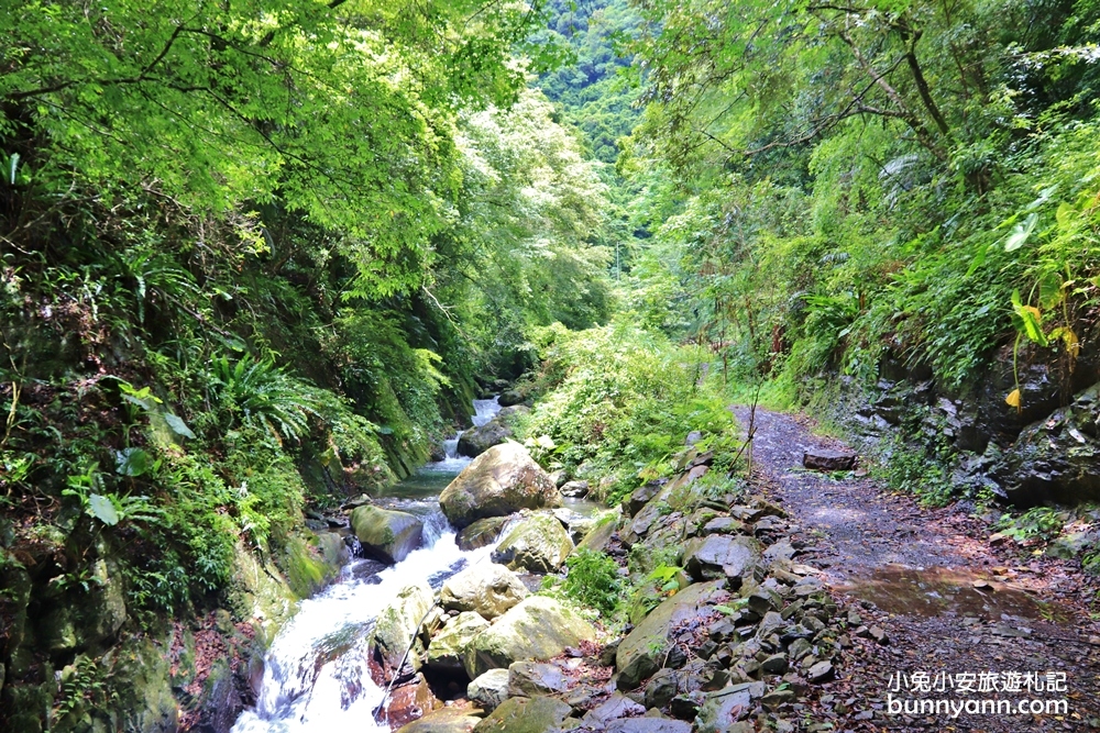 新竹【老鷹溪步道】高山森林秘境，20分鐘輕鬆追瀑布！