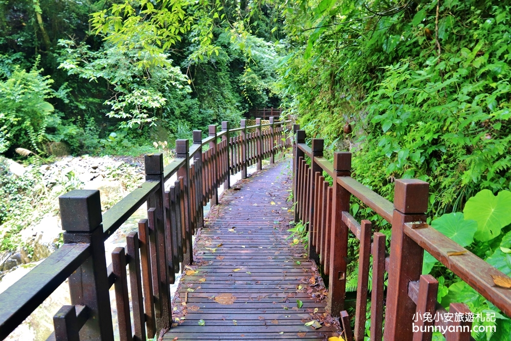 新竹【老鷹溪步道】高山森林秘境，20分鐘輕鬆追瀑布！
