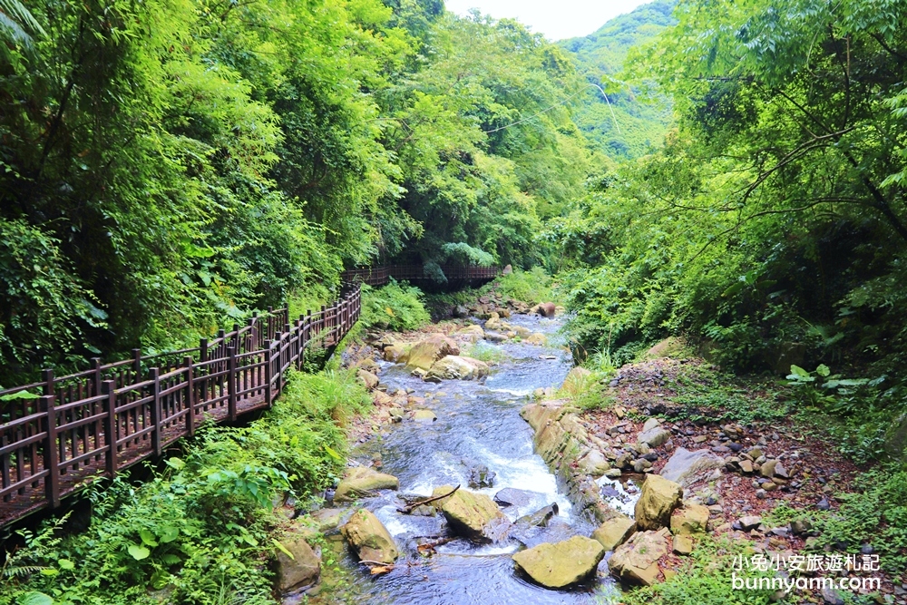新竹【老鷹溪步道】高山森林秘境，20分鐘輕鬆追瀑布！