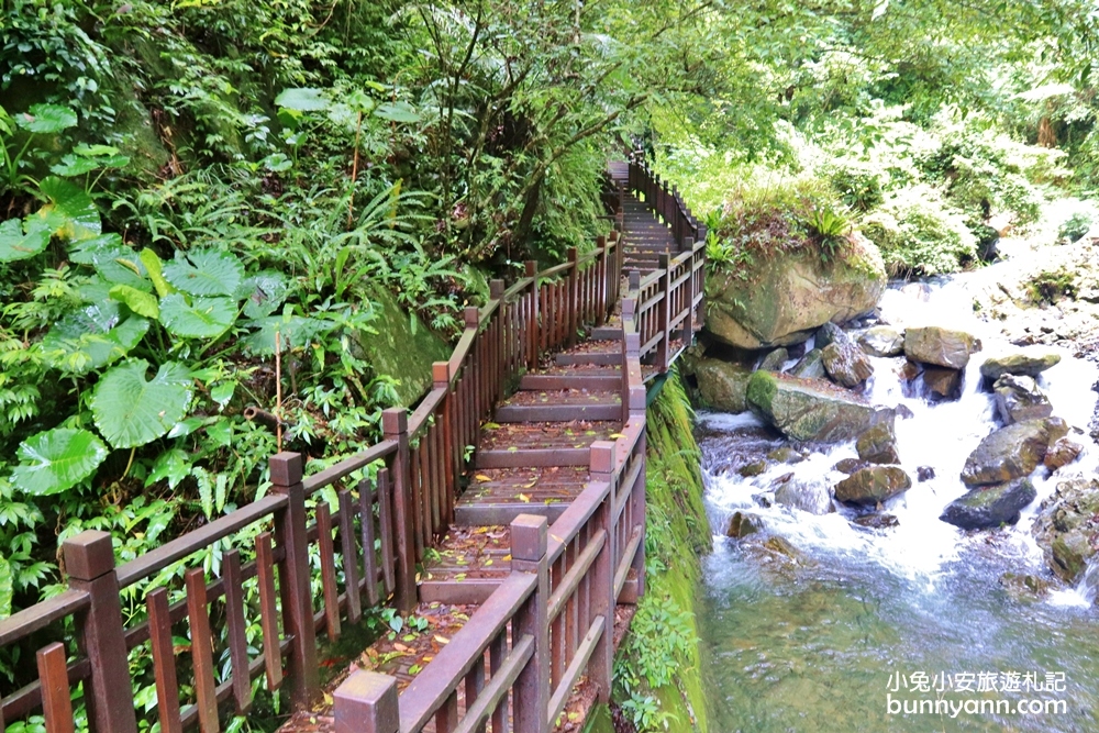 新竹【老鷹溪步道】高山森林秘境，20分鐘輕鬆追瀑布！