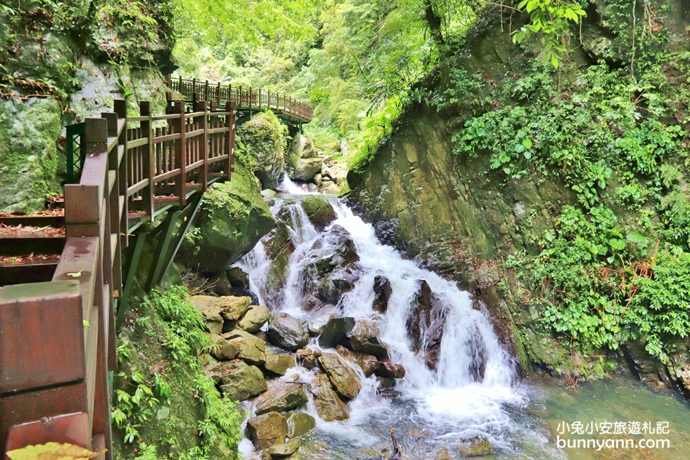 新竹【老鷹溪步道】高山森林秘境，20分鐘輕鬆追瀑布！