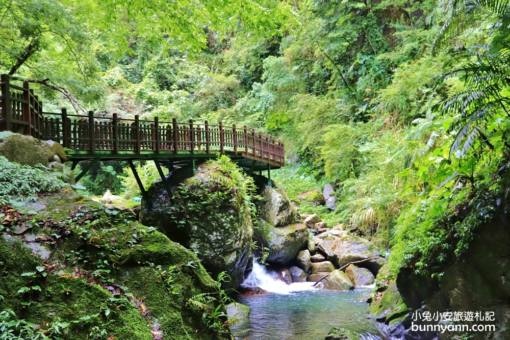 新竹【老鷹溪步道】高山森林秘境，20分鐘輕鬆追瀑布！