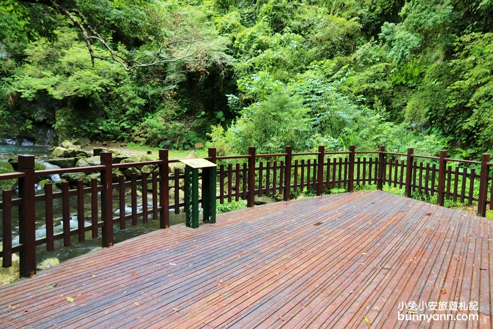 新竹【老鷹溪步道】高山森林秘境，20分鐘輕鬆追瀑布！