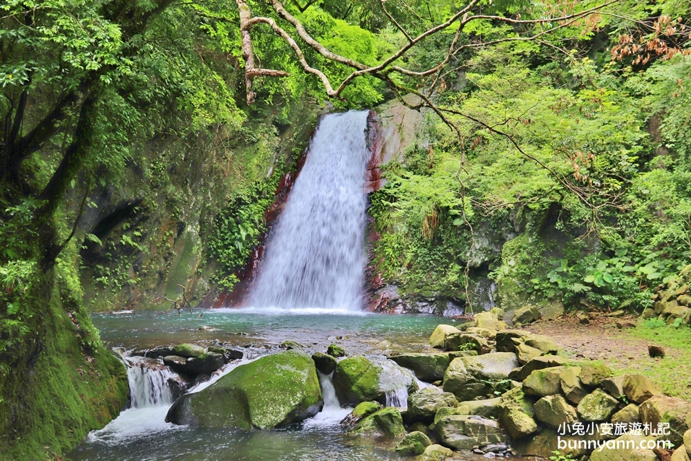 新竹【老鷹溪步道】高山森林秘境，20分鐘輕鬆追瀑布！