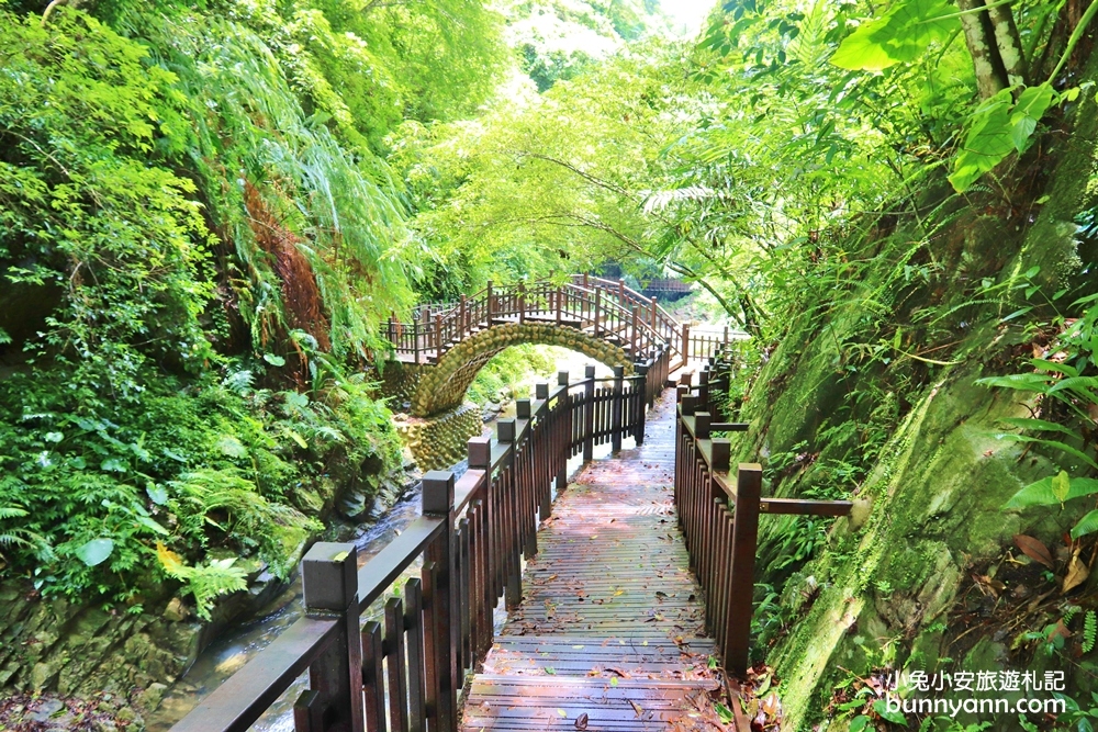 新竹【老鷹溪步道】高山森林秘境，20分鐘輕鬆追瀑布！
