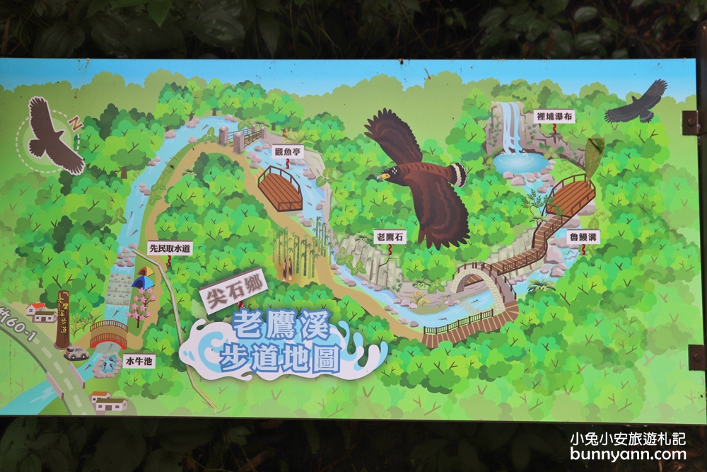 新竹【老鷹溪步道】高山森林秘境，20分鐘輕鬆追瀑布！