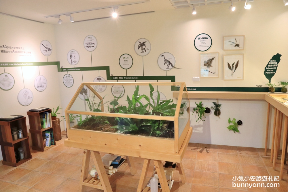 台中薰衣草森林新社店一日遊，到訪夢幻紫色花海與大自然森林園區