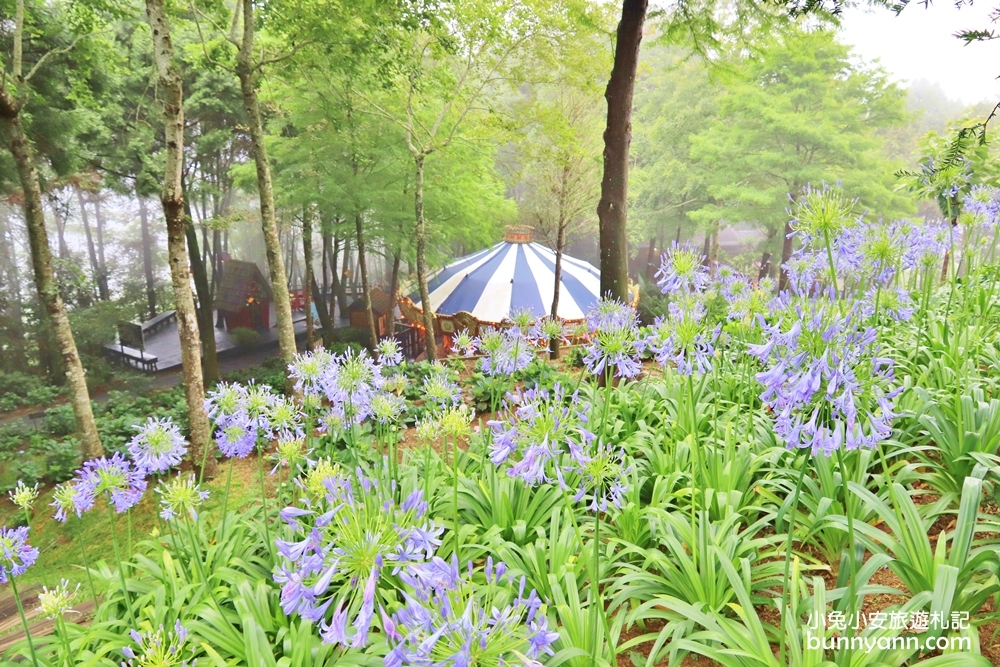 台中薰衣草森林新社店一日遊，到訪夢幻紫色花海與大自然森林園區