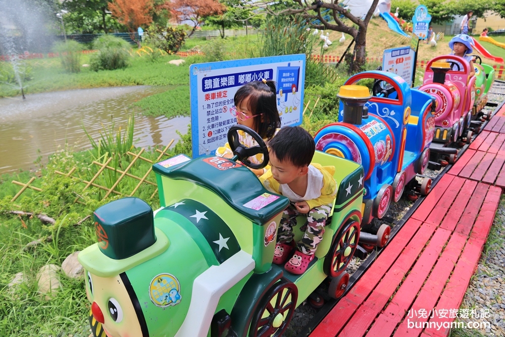 超好玩【鵝媽媽鵝童樂園】旋轉天鵝萌力爆發，主題鵝群免費拍