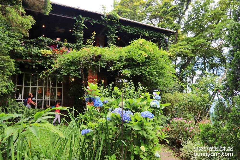 新竹景點》6號花園，超美室外桃花源，尖石深山祕密花園
