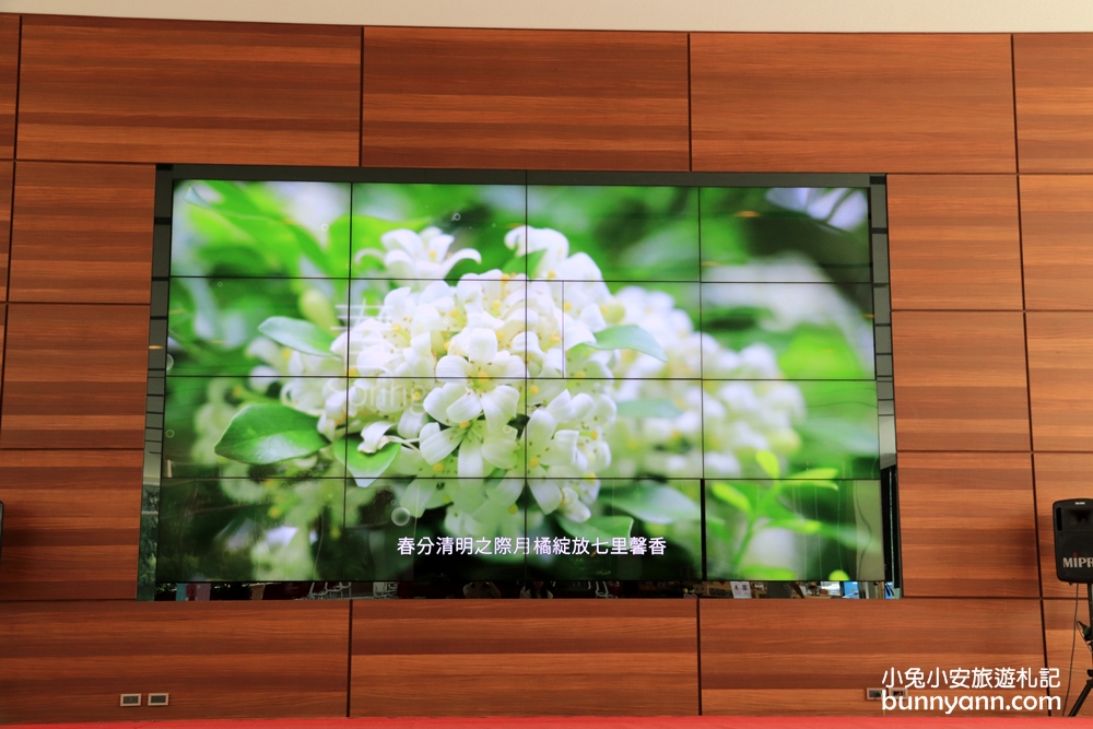 彰化【成美文化園】佔地10公頃的夢幻場景，包含新的東園區走到鐵腿