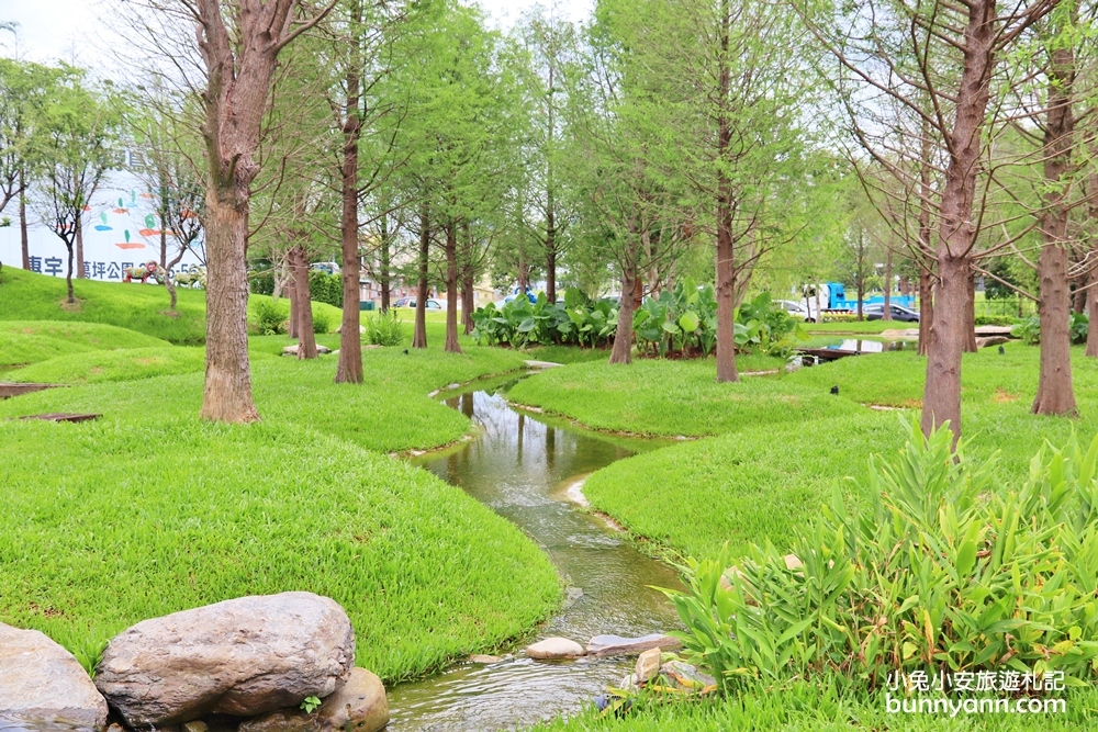 台中新景點》期間限定!南屯區浮島森林夢幻登場，都市裡的水中天堂島嶼~