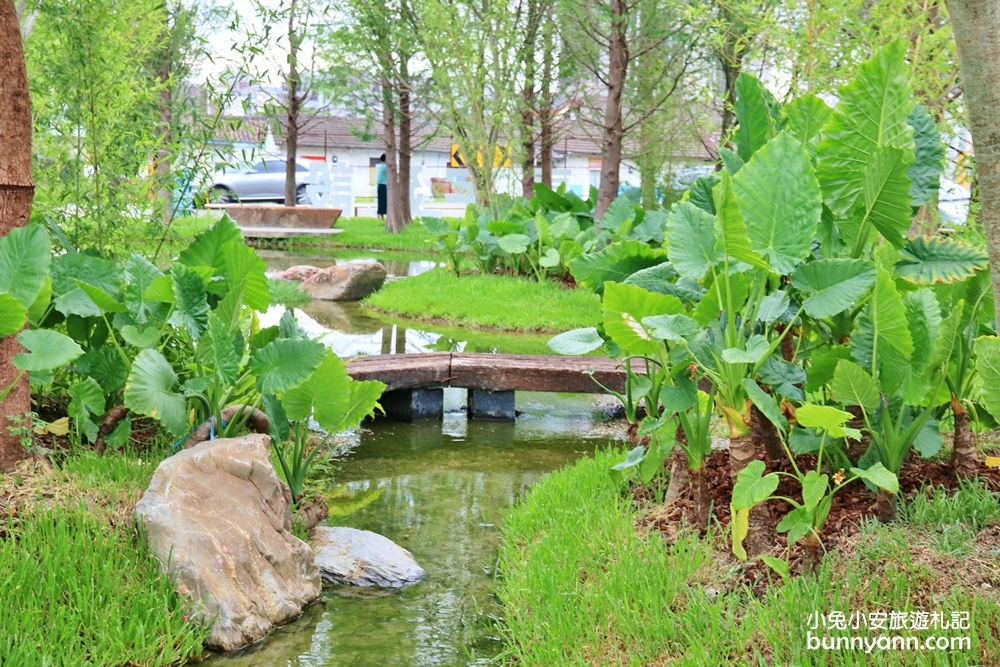 台中新景點》期間限定!南屯區浮島森林夢幻登場，都市裡的水中天堂島嶼~