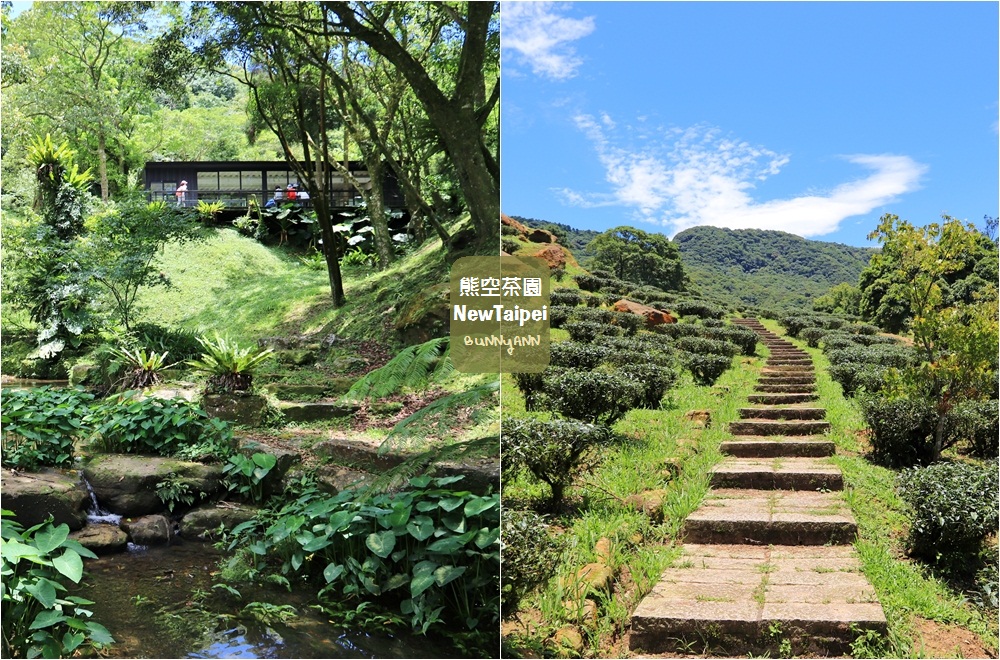 新北景點｜熊空茶園