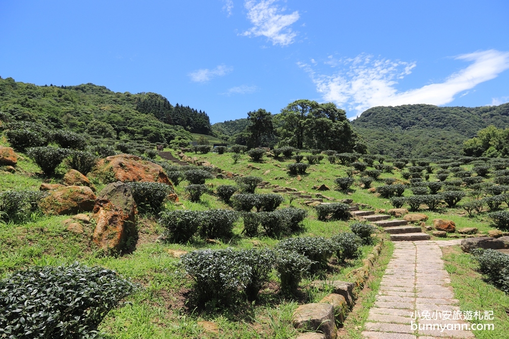 禾煦熊空休閒農場｜遠的要命山頂茶園咖啡館路況資訊總整理