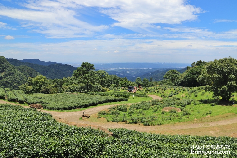 禾煦熊空休閒農場｜遠的要命山頂茶園咖啡館路況資訊總整理