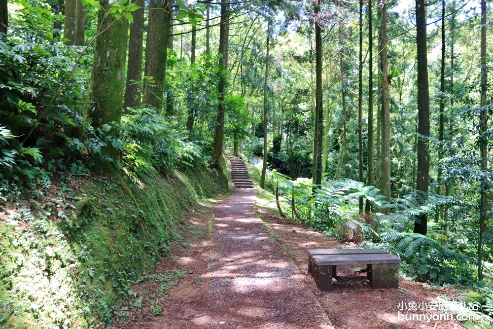 禾煦熊空休閒農場｜遠的要命山頂茶園咖啡館路況資訊總整理